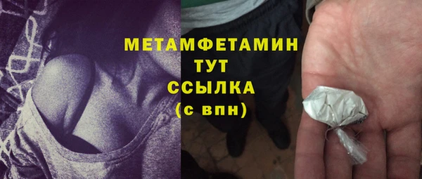 гидра Аркадак