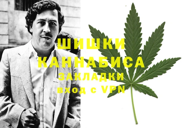 гидра Аркадак
