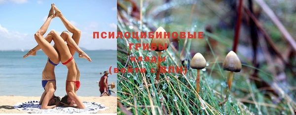 гидра Аркадак
