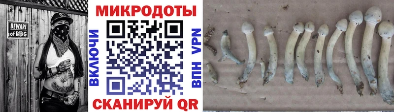даркнет сайт  Арск  Псилоцибиновые грибы Psilocybe 